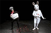 bannerino-il-sogno-di-alice
